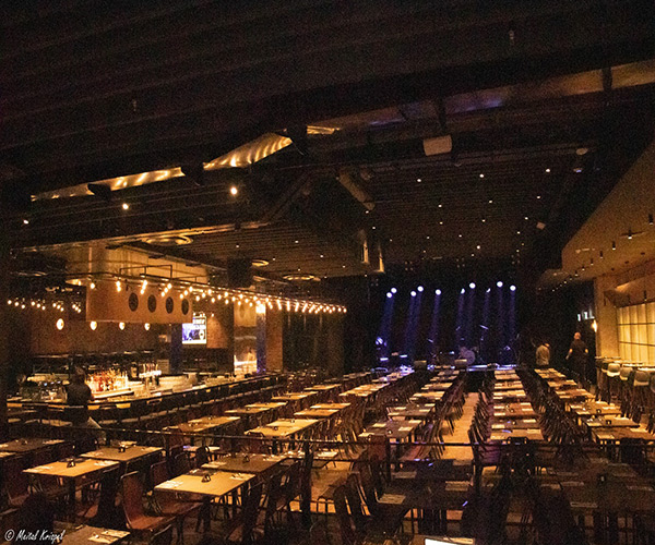 זאפה תל אביב החדש