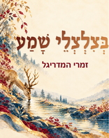 סיבוב הופעות