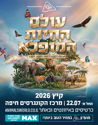 מרכז הקונגרסים, חיפה